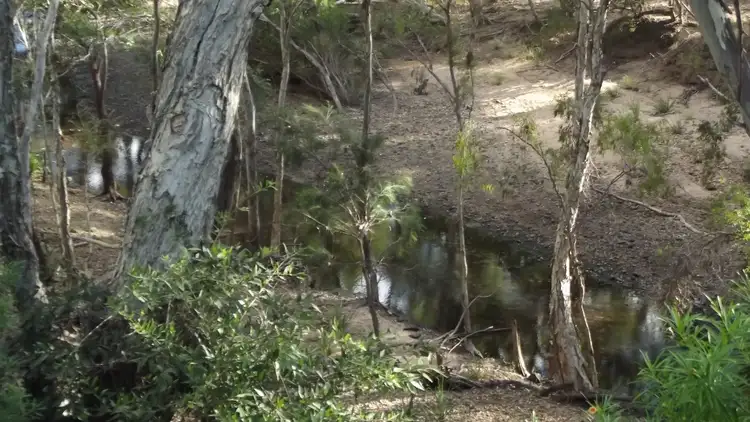 Seventh view of Homely rural property listing, 523 Airstrip Road, Nebo QLD 4742