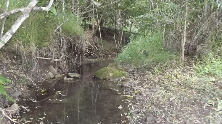 Sixth view of Homely rural property listing, Address available on request