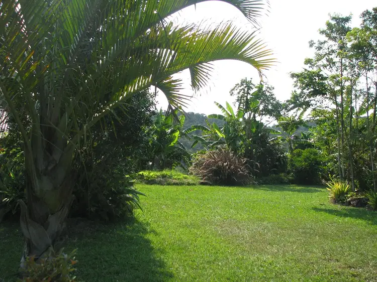 Seventh view of Homely rural property listing, LOT 58 & 59, 0 Diggings Road, Eungella QLD 4757