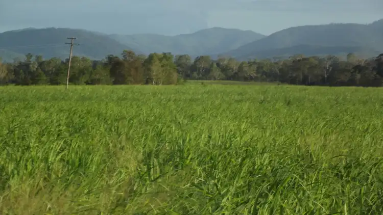 Sixth view of Homely rural property listing, Address available on request