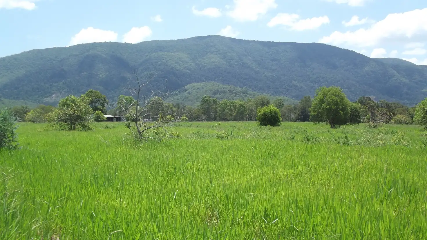 Main view of Homely rural property listing, Lot 15 Sands Road, Koumala QLD 4738