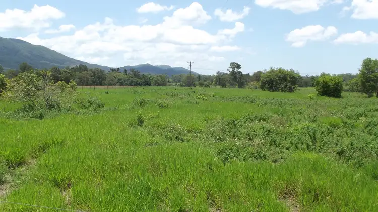 Third view of Homely rural property listing, Lot 15 Sands Road, Koumala QLD 4738