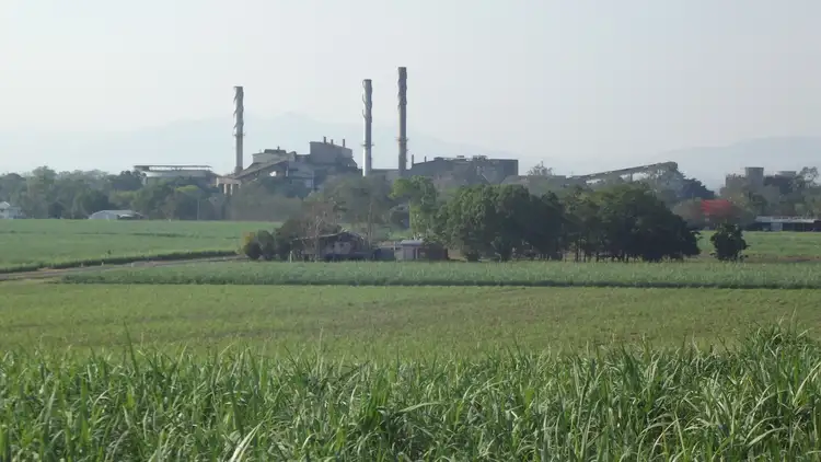 Sixth view of Homely rural property listing, Address available on request