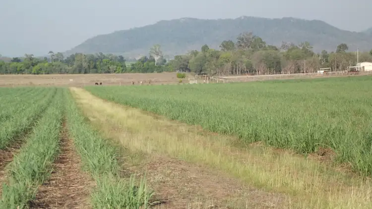 Seventh view of Homely rural property listing, Address available on request