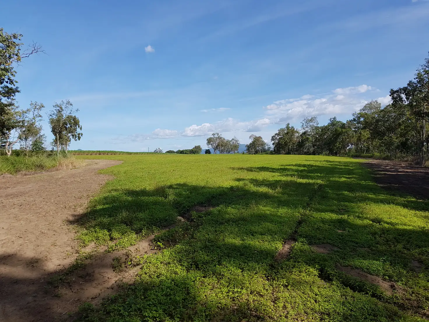 Main view of Homely land listing, Lot 21 Mount Martin Loop Road, Mirani QLD 4754
