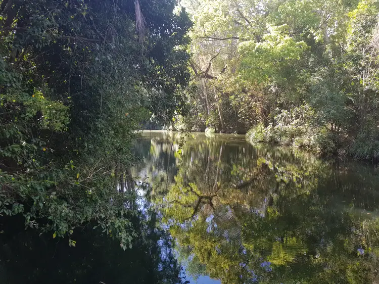 Second view of Homely land listing, Lot 21 Mount Martin Loop Road, Mirani QLD 4754