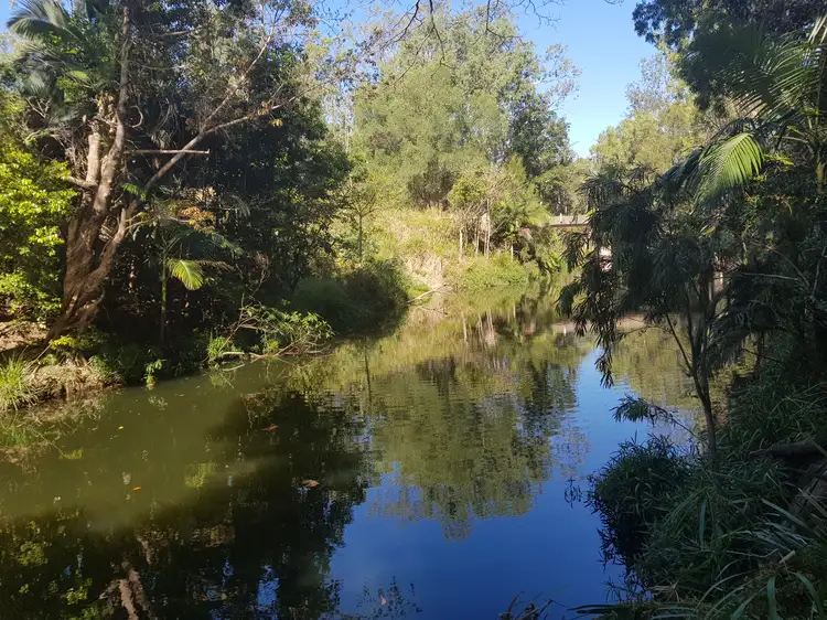 Third view of Homely land listing, Lot 21 Mount Martin Loop Road, Mirani QLD 4754