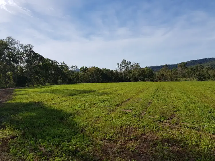 Fourth view of Homely land listing, Lot 21 Mount Martin Loop Road, Mirani QLD 4754