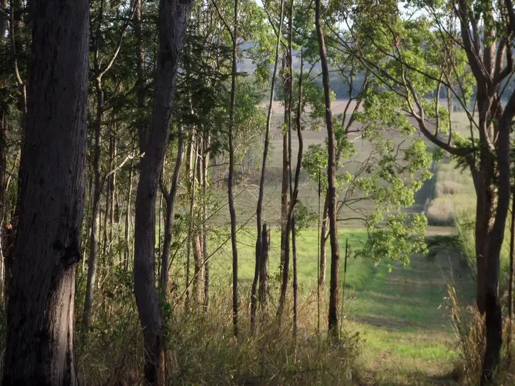 Main view of Homely rural property listing, Address available on request