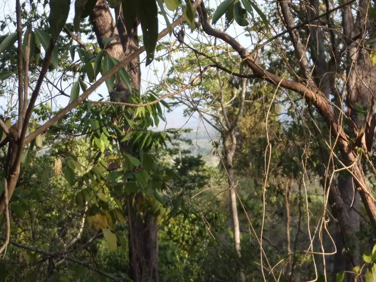 Fifth view of Homely rural property listing, Address available on request