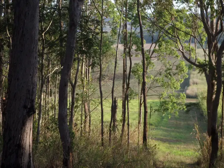 Sixth view of Homely rural property listing, Address available on request