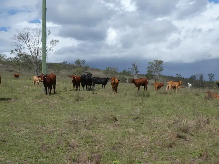 Fifth view of Homely rural property listing, LOT 33 LONGATONG ROAD, Coringa QLD 4621