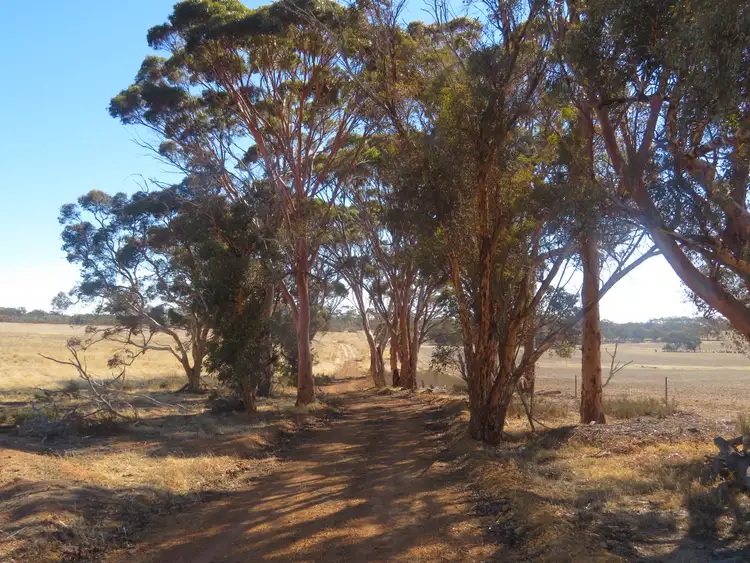 LOT 24804 Mawson Doodenanning Road Balkuling, Quairading WA 6383