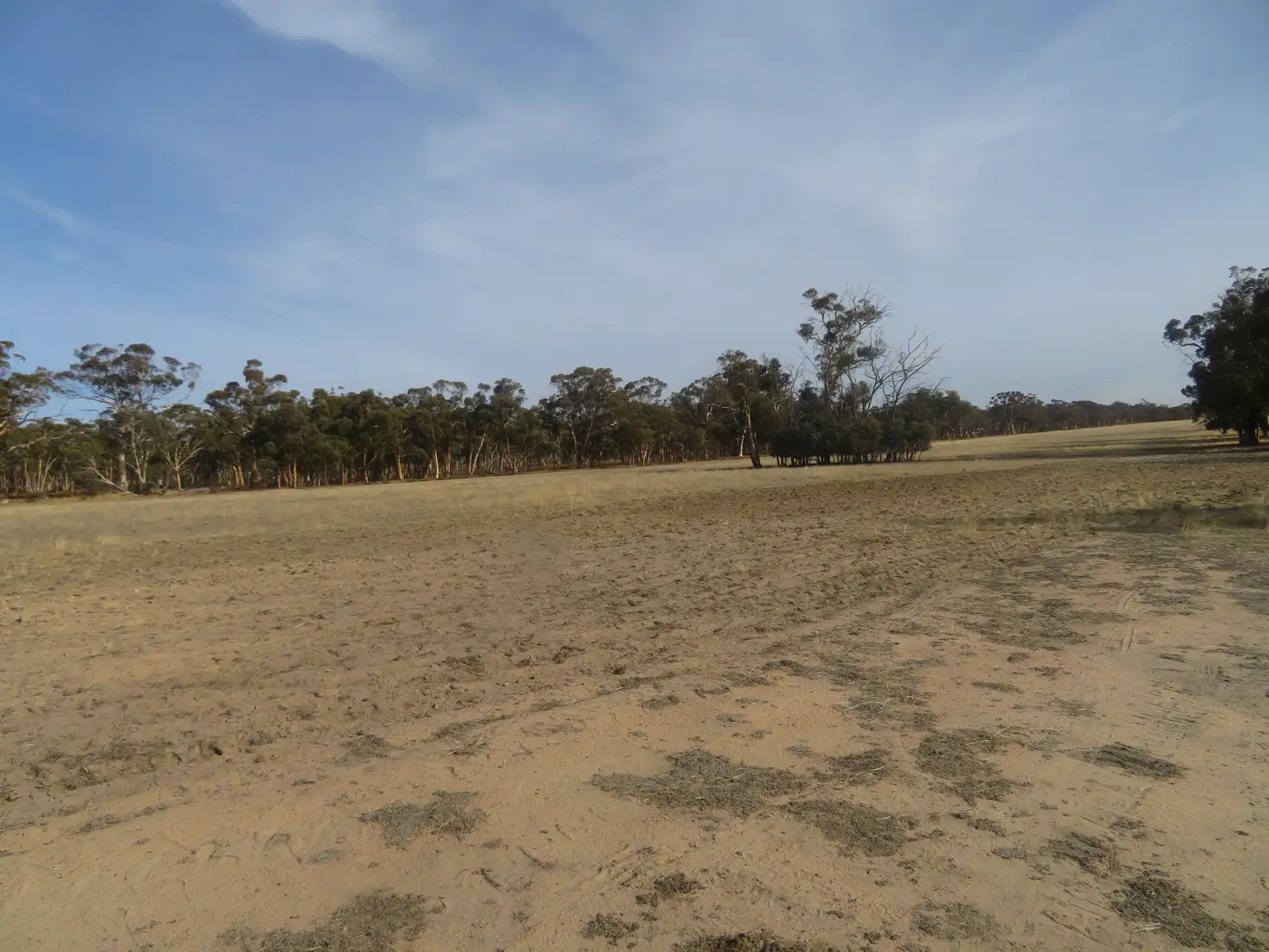 Main view of Homely rural property listing, LOT 18717 Mawson Doodenanning Balkuling, Quairading WA 6383