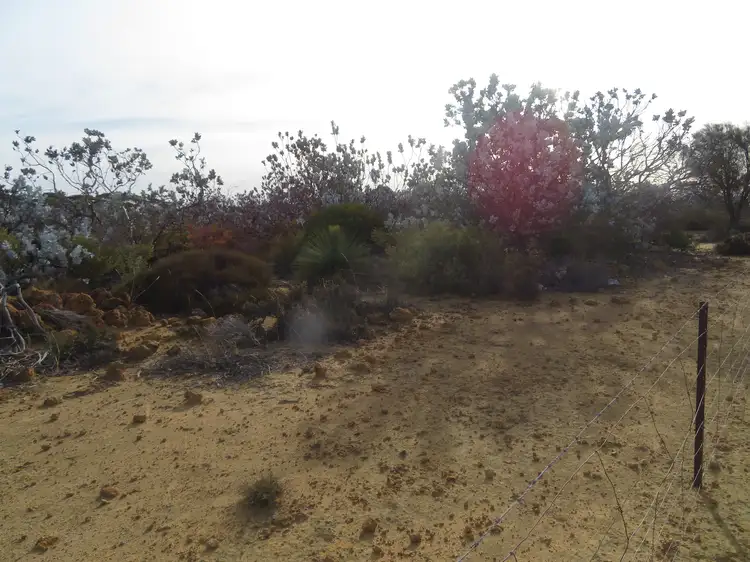 Sixth view of Homely rural property listing, LOT 18717 Mawson Doodenanning Balkuling, Quairading WA 6383