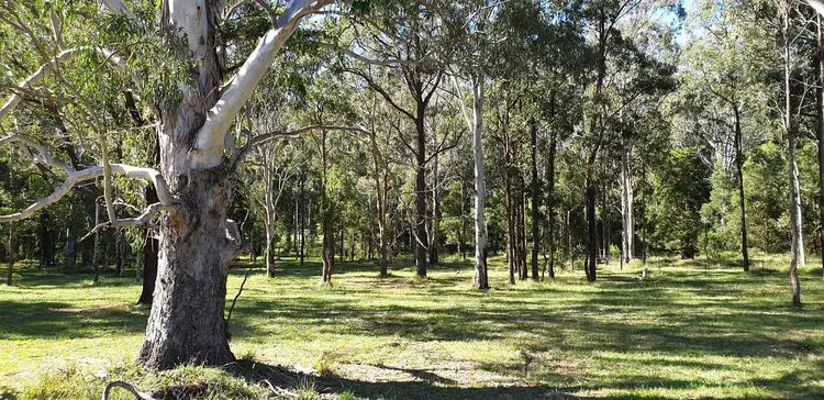 788 Limeburners Creek Road, Clarence Town NSW 2321