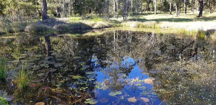 Fifth view of Homely rural property listing, 788 Limeburners Creek Road, Clarence Town NSW 2321