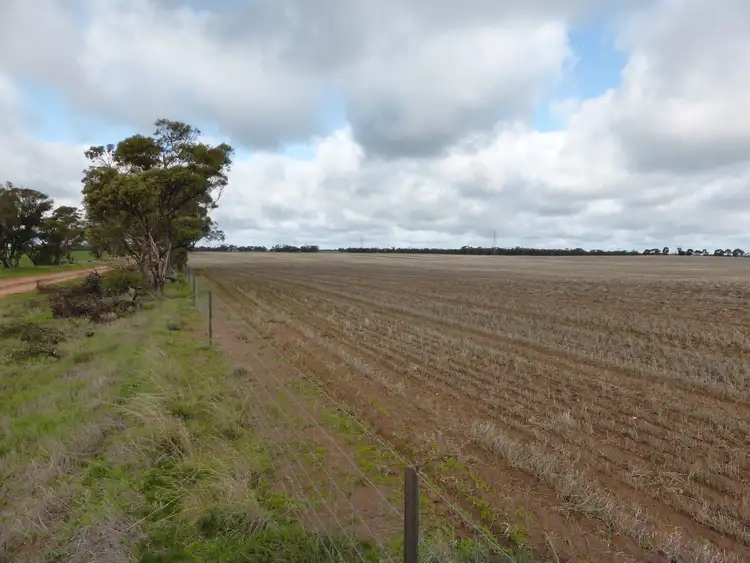 Second view of Homely rural property listing, C/A 164A Allen Road, Warracknabeal VIC 3393