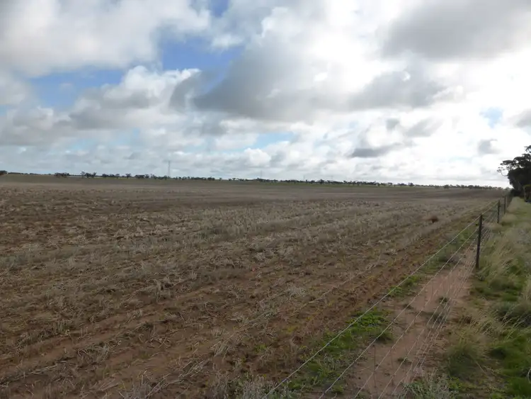 Fourth view of Homely rural property listing, C/A 164A Allen Road, Warracknabeal VIC 3393