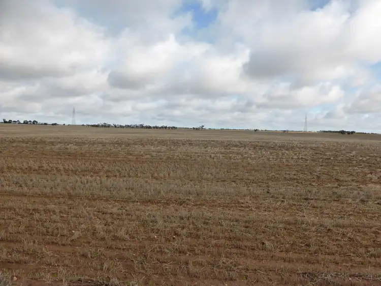 Fifth view of Homely rural property listing, C/A 164A Allen Road, Warracknabeal VIC 3393