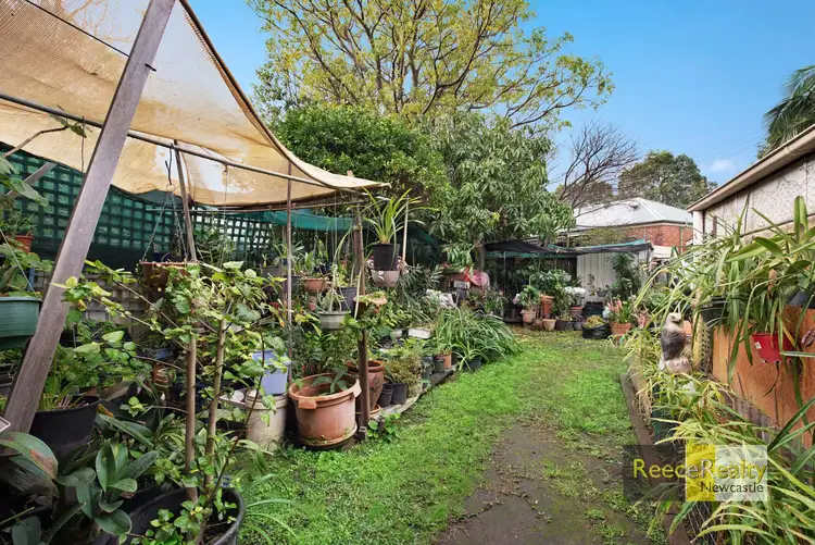 Sixth view of Homely house listing, 15 Morgan Street, Islington NSW 2296