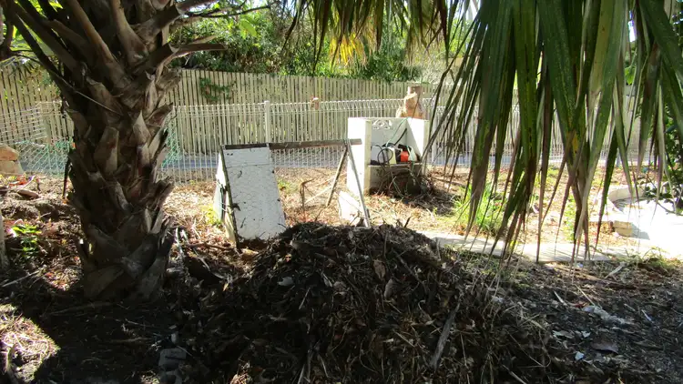 Sixth view of Homely house listing, 19 Casuarina Street, Bowen QLD 4805