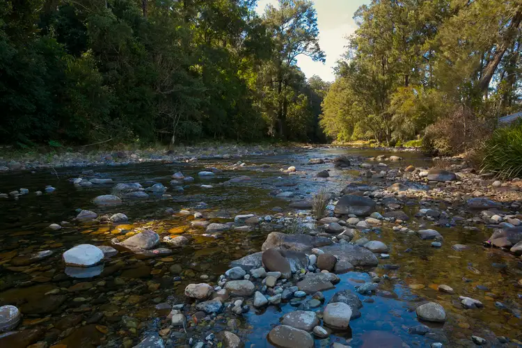 Second view of Homely rural property listing, 32 Longbottoms Road, Chichester Via, Dungog NSW 2420