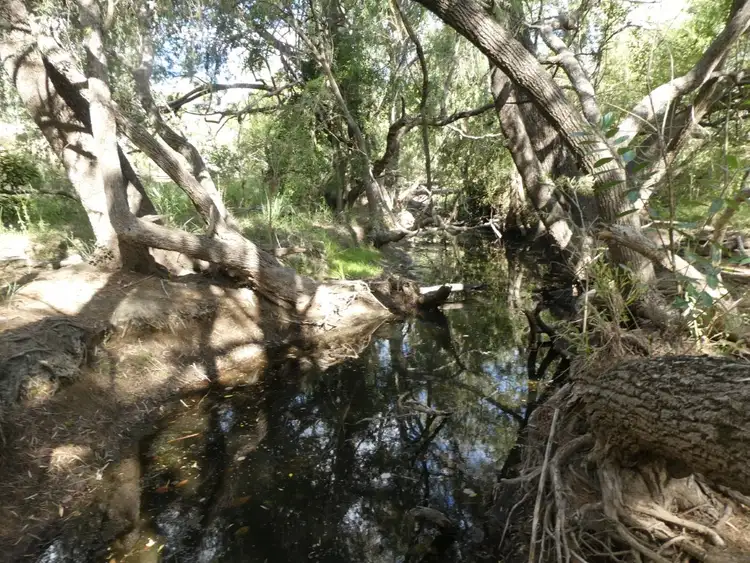 Second view of Homely rural property listing, 105 FOUNDATION ROAD, Dallarnil QLD 4621
