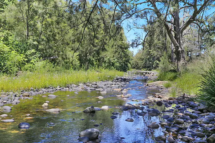 Main view of Homely rural property listing, Lot 170 Salisbury Road, Salisbury Via, Dungog NSW 2420