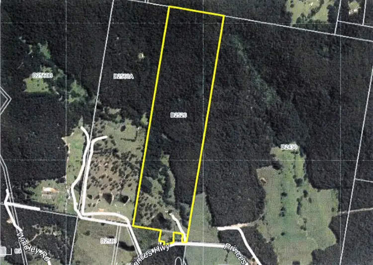 Main view of Homely house listing, 2526 Princes Highway, Wandandian NSW 2540