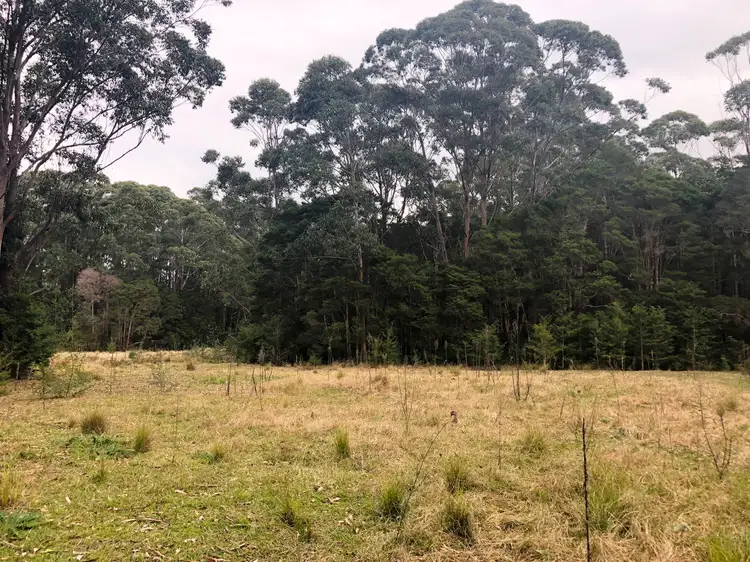 Sixth view of Homely house listing, 2526 Princes Highway, Wandandian NSW 2540