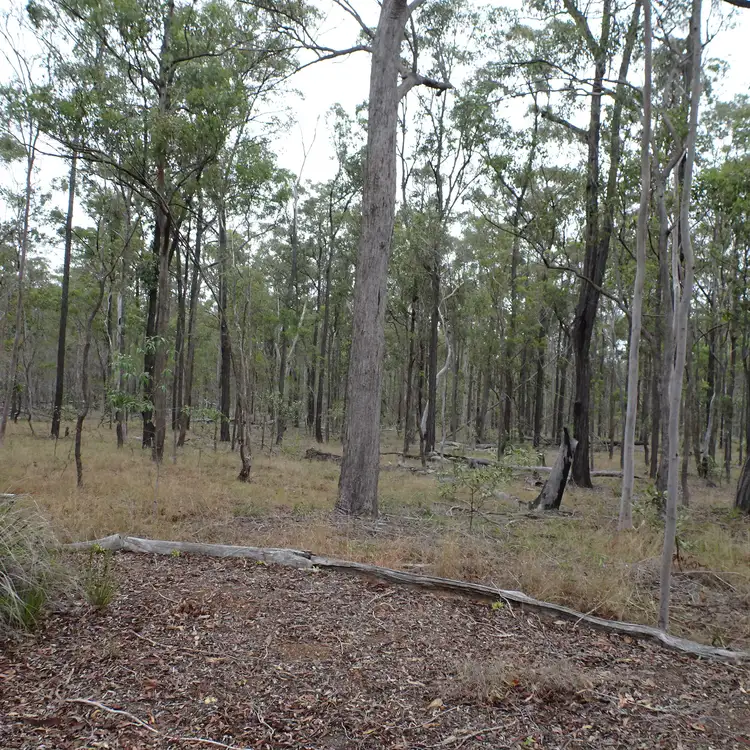 Third view of Homely rural property listing, 633 MCDONALDS ROAD, North Isis QLD 4660