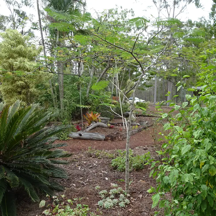 Seventh view of Homely rural property listing, 633 MCDONALDS ROAD, North Isis QLD 4660