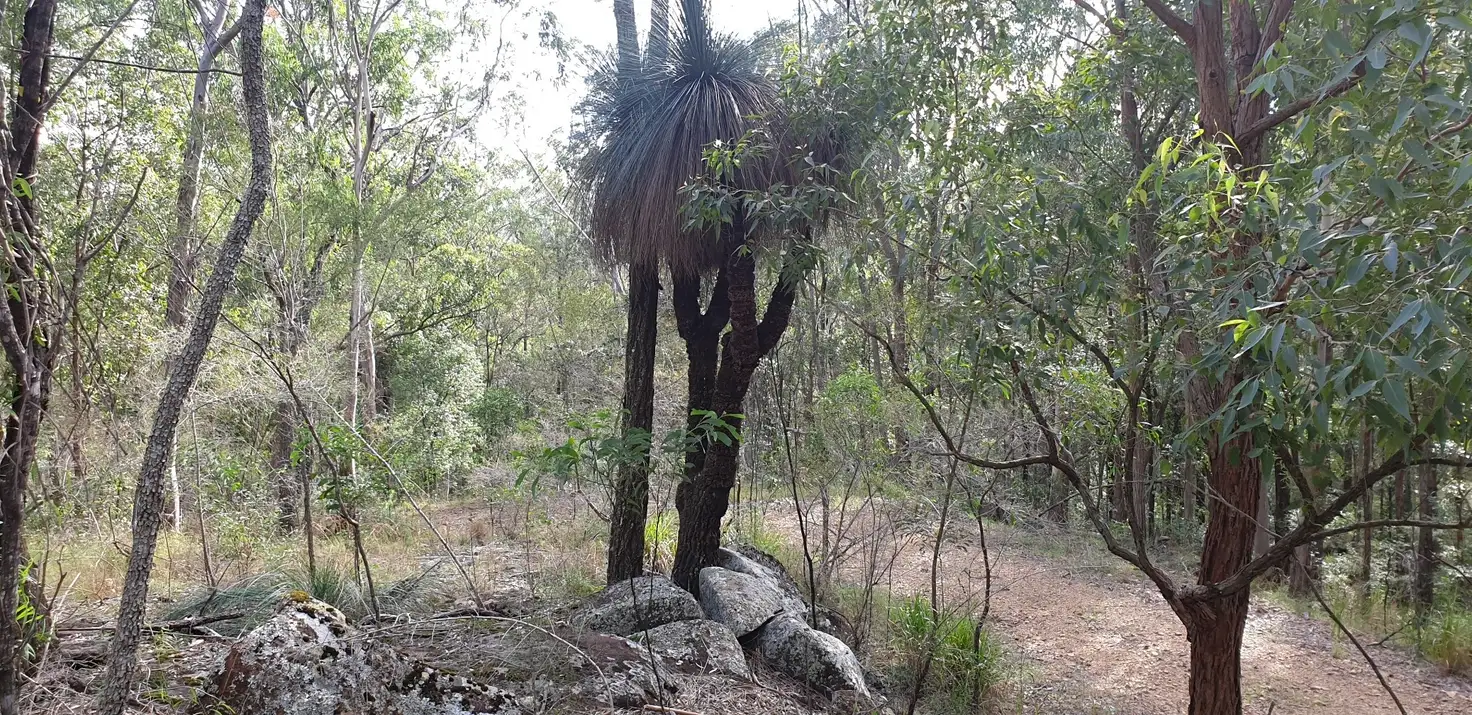 Main view of Homely rural property listing, 622 Green Wattle Creek Road, Duns Creek NSW 2321