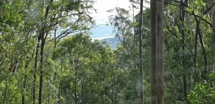 Fourth view of Homely rural property listing, 622 Green Wattle Creek Road, Duns Creek NSW 2321