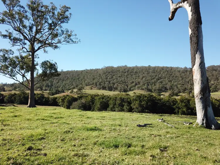 Fifth view of Homely rural property listing, Lot C 450 Chichester Dam Road, Dungog NSW 2420
