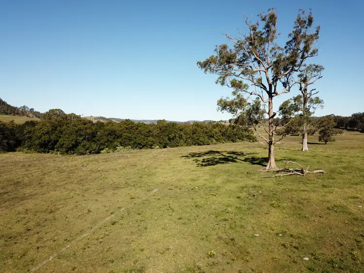Seventh view of Homely rural property listing, Lot C 450 Chichester Dam Road, Dungog NSW 2420