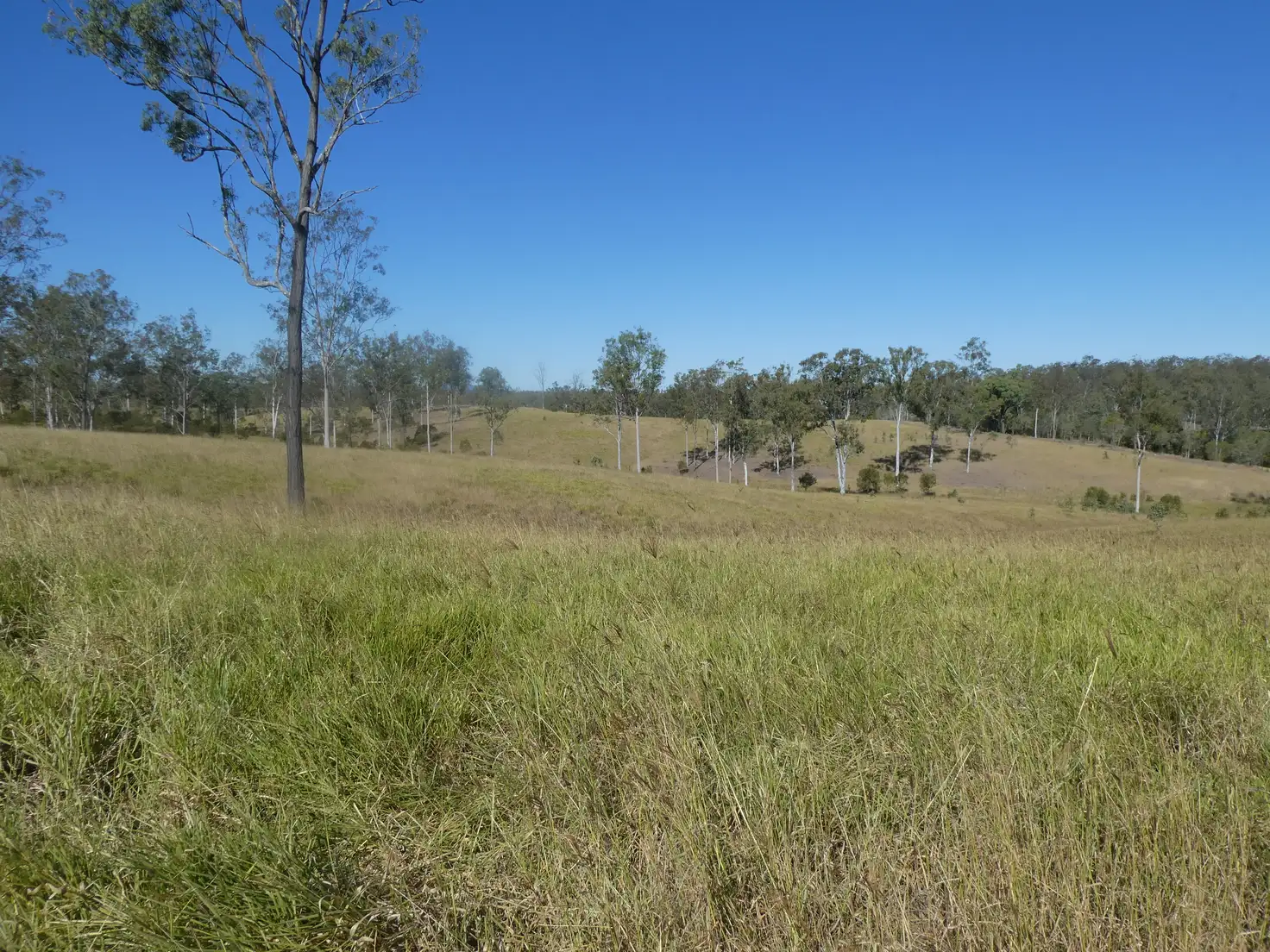Main view of Homely rural property listing, Address available on request