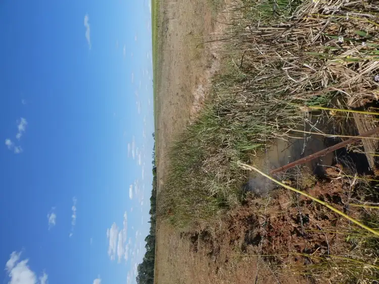 Fourth view of Homely rural property listing, LOT 2 STATION ROAD, Horton QLD 4660