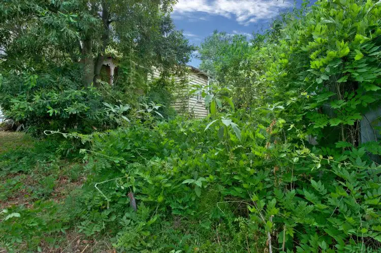 Fourth view of Homely house listing, 39 Windeyer Street, Dungog NSW 2420