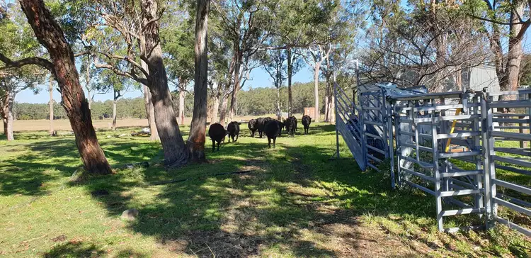Seventh view of Homely rural property listing, 49 Rileys Road, Limeburners Creek NSW 2324