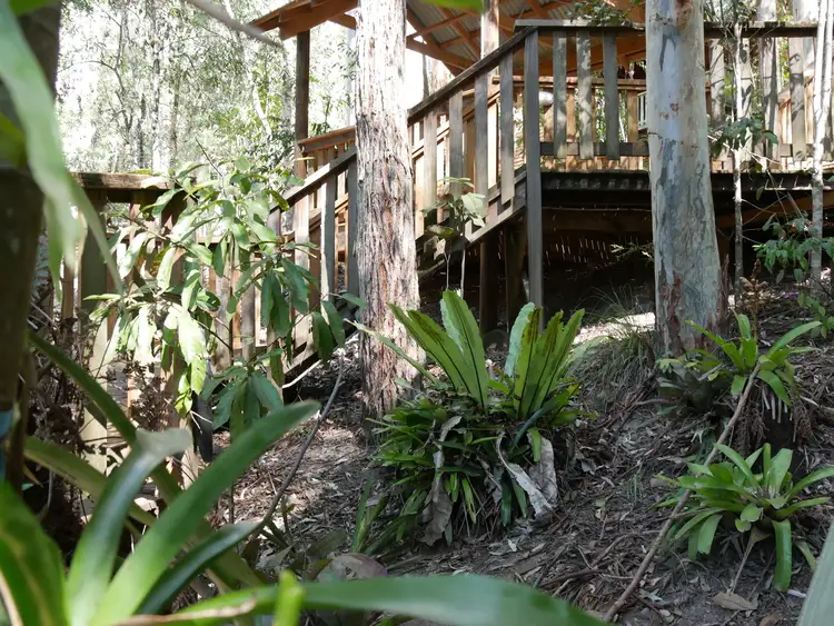 Fifth view of Homely rural property listing, Cabin 7 2940 Salisbury Road, Salisbury Via, Dungog NSW 2420