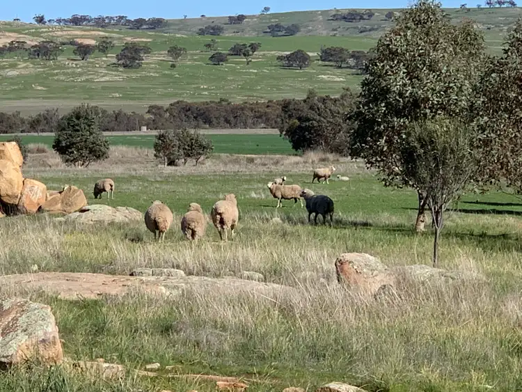 Sixth view of Homely rural property listing, 1066 York Williams RD, Beverley WA 6304