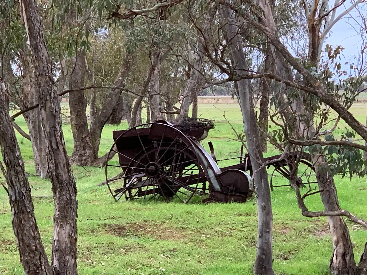 Main view of Homely rural property listing, LOT 305 York-Quairading Hwy, York WA 6302