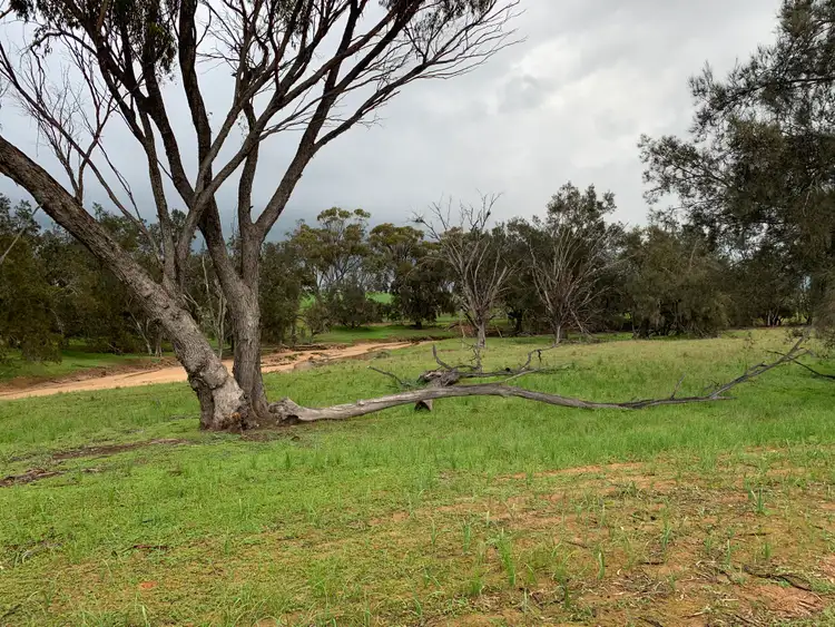 Fifth view of Homely rural property listing, LOT 305 York-Quairading Hwy, York WA 6302