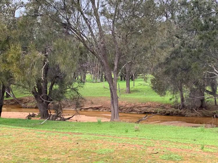 Seventh view of Homely rural property listing, LOT 305 York-Quairading Hwy, York WA 6302