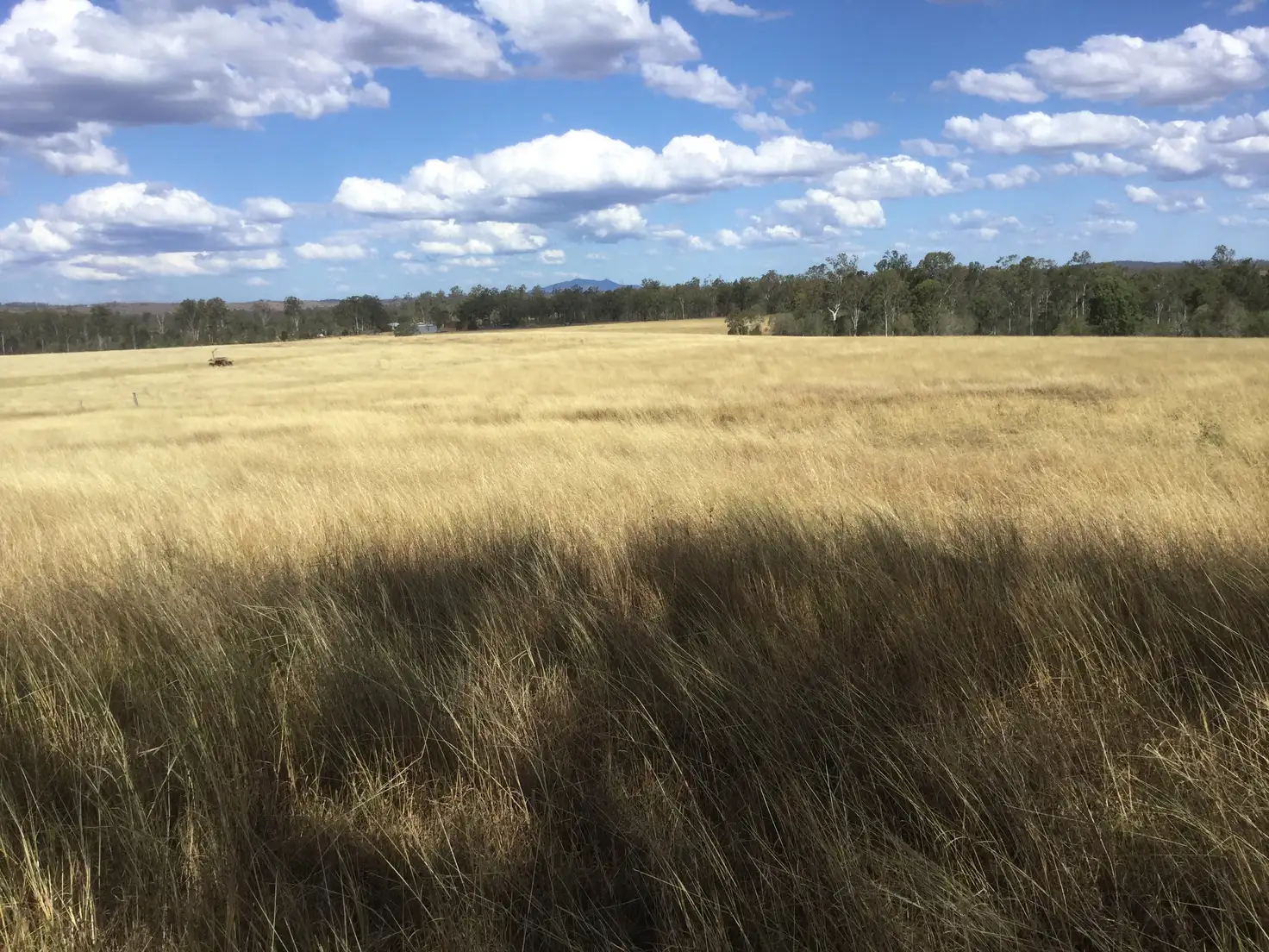 Main view of Homely rural property listing, 503 WALLA ROAD, Morganville QLD 4671