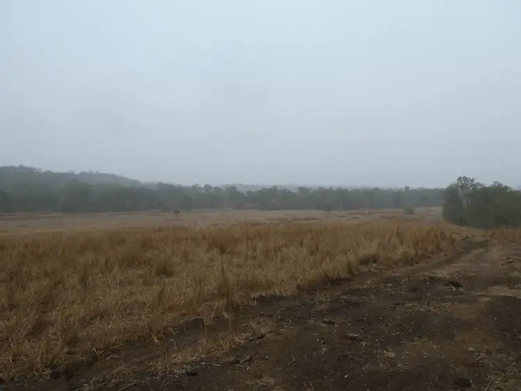 Fifth view of Homely rural property listing, 503 WALLA ROAD, Morganville QLD 4671