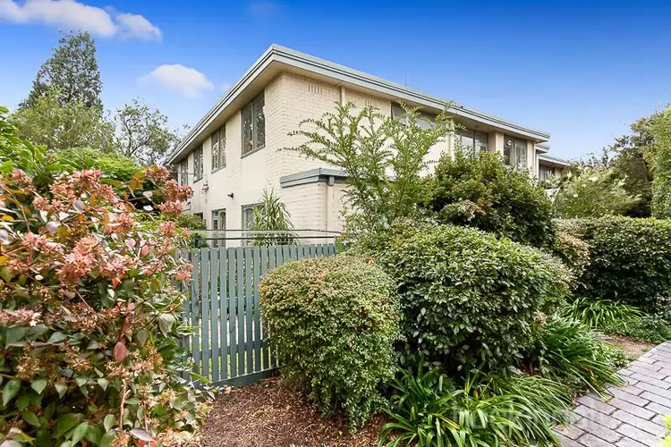 Main view of Homely apartment listing, 4/16 Repton Road, Malvern East VIC 3145