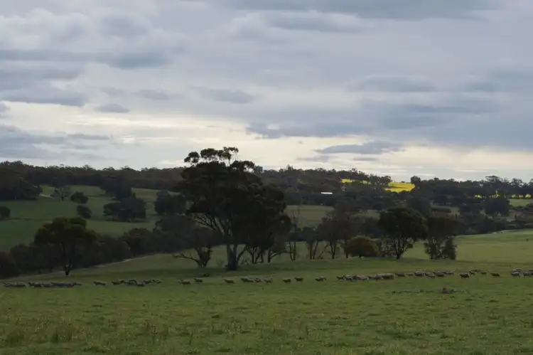 Seventh view of Homely rural property listing, 710 Qualen West Road, York WA 6302